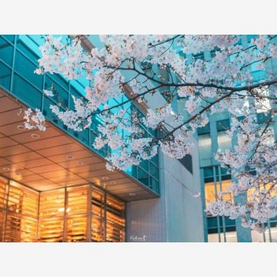 注册就送38的平台下载手机版