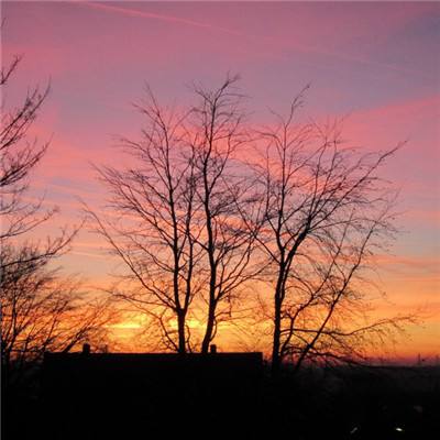 皇冠体育app正版下载